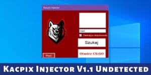 Kacpix Injector V1.1 Download