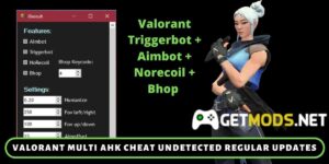 Valorant Triggerbot+Aimbot+Norecoil+Bhop Ahk Script Hack