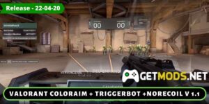 Valorant Coloraim + Triggerbot + Norecoil v1.1