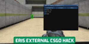 ERIS External Free CSGO Hack